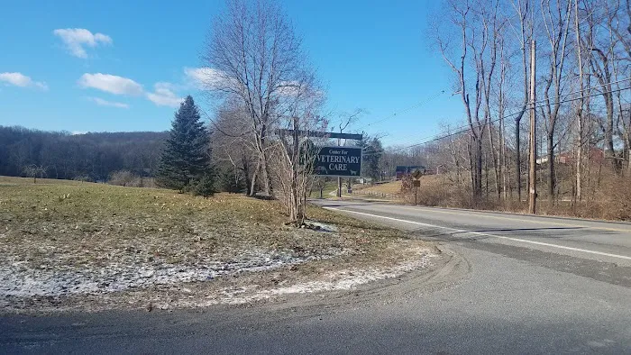 Center For Veterinary Care Picture 7