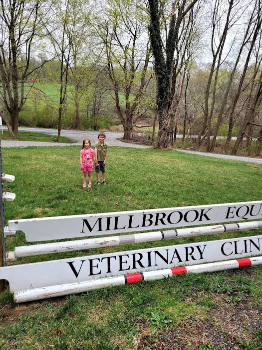 Millbrook Equine Veterinary Clinic, PC Picture 1