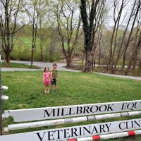 Millbrook Equine Veterinary Clinic, PC ico