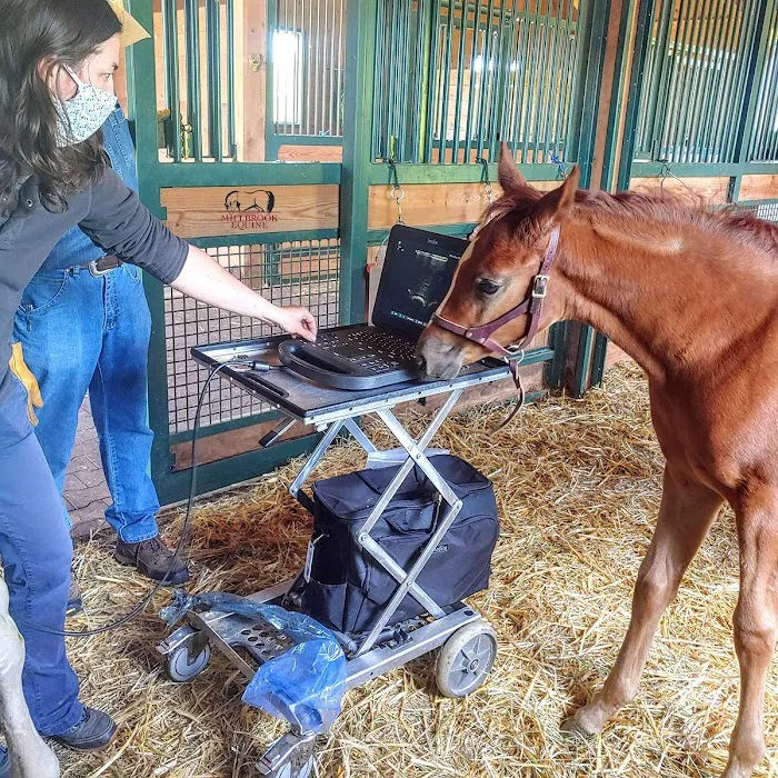 Millbrook Equine Veterinary Clinic, PC Picture 7