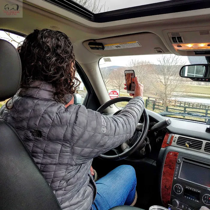 Millbrook Equine Veterinary Clinic, PC Picture 8