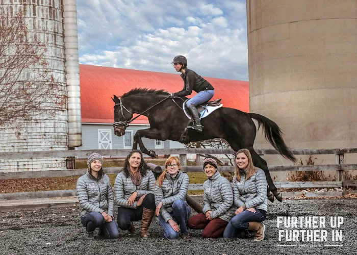 Millbrook Equine Veterinary Clinic, PC Picture 10