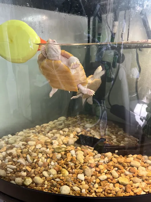 Creative Aquatics LLC Picture 4