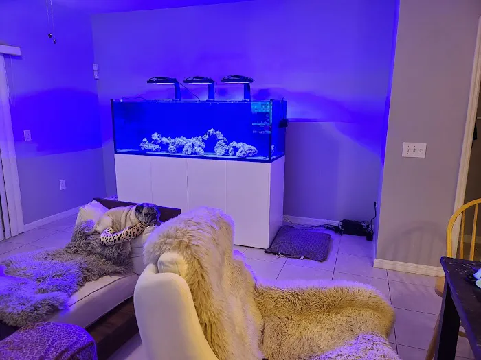 Creative Aquatics LLC Picture 3