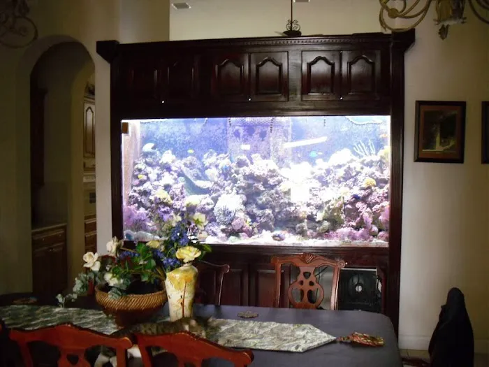 Creative Aquatics LLC Picture 8