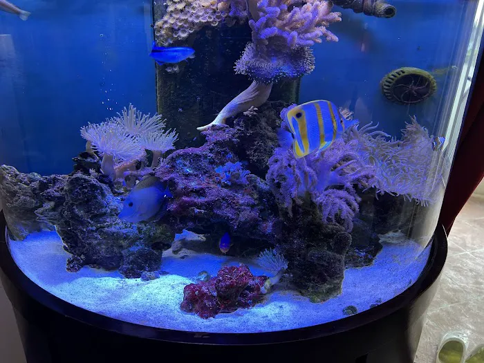 Creative Aquatics LLC Picture 2