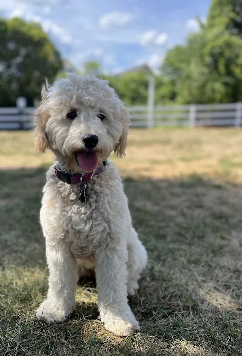 LaGrange Veterinary Hospital Picture 3