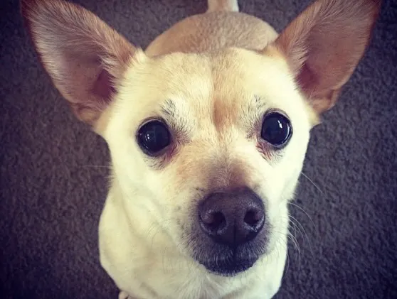 LaGrange Veterinary Hospital Picture 1