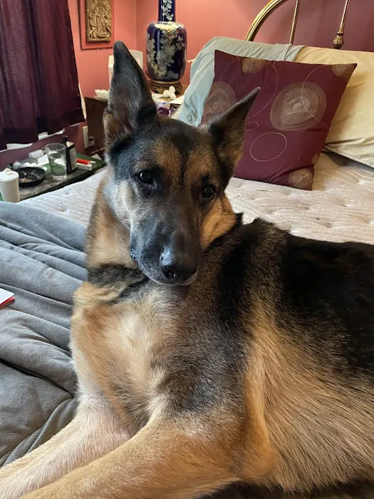 LaGrange Veterinary Hospital Picture 2