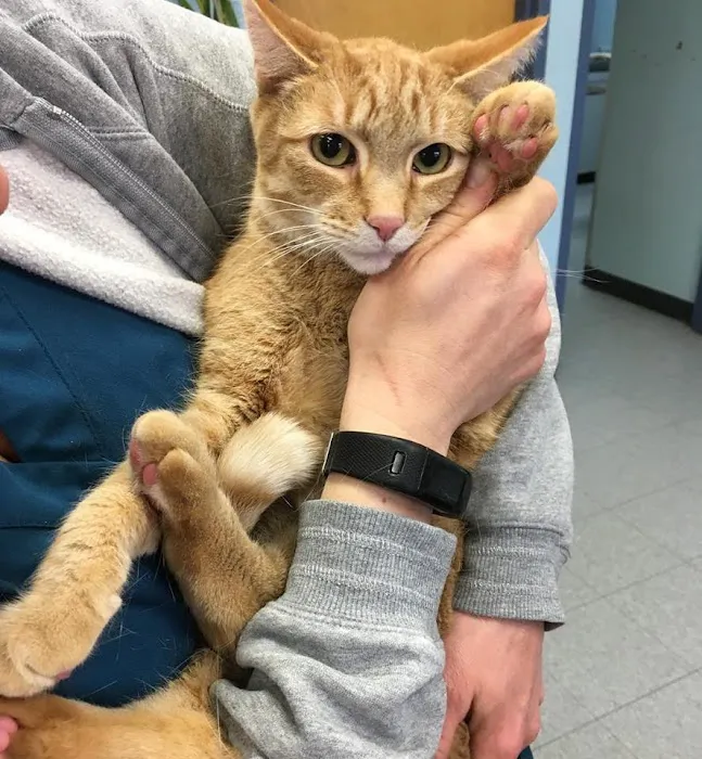 LaGrange Veterinary Hospital Picture 9