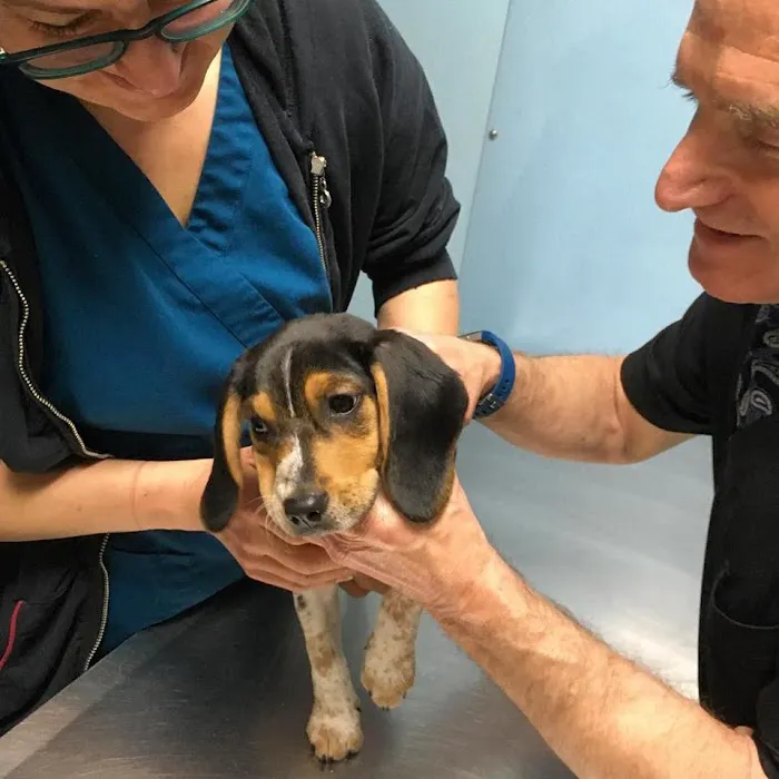 LaGrange Veterinary Hospital Picture 8