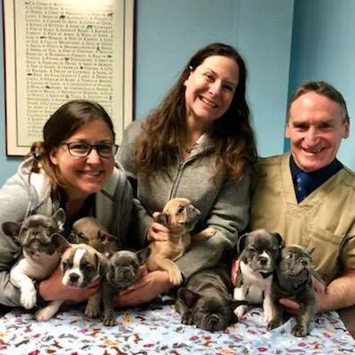 LaGrange Veterinary Hospital Picture 6