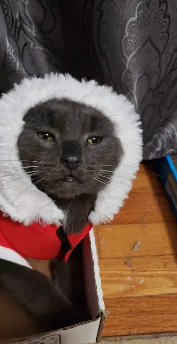 LaGrange Veterinary Hospital Picture 4