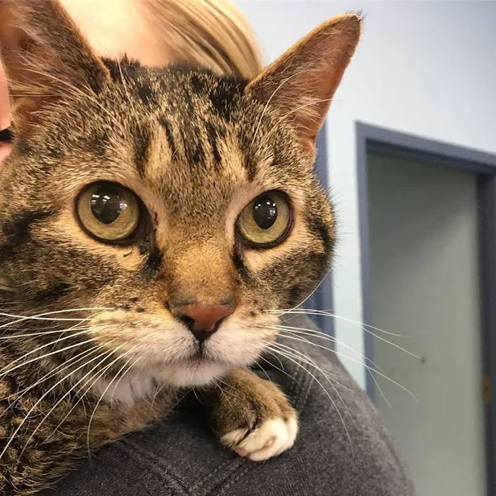 LaGrange Veterinary Hospital Picture 7