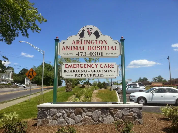 Arlington Animal Hospital Picture 7