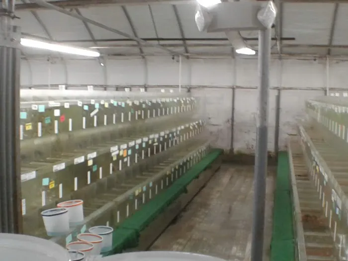 Segrest Farms Picture 5