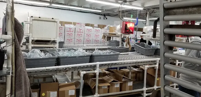 Segrest Farms Picture 3