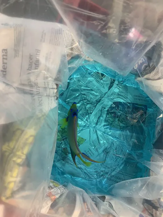 Segrest Farms Picture 4