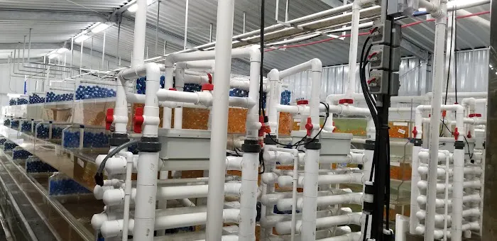 Segrest Farms Picture 2