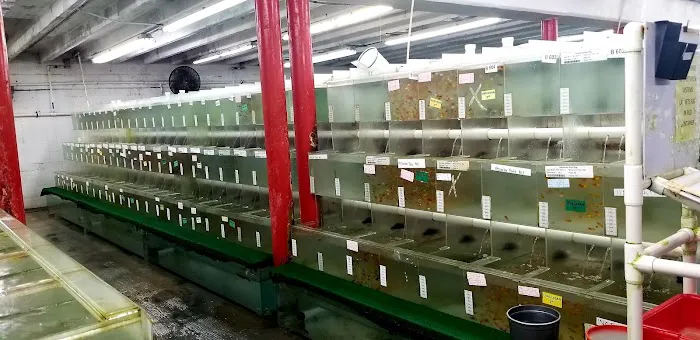 Segrest Farms Picture 1