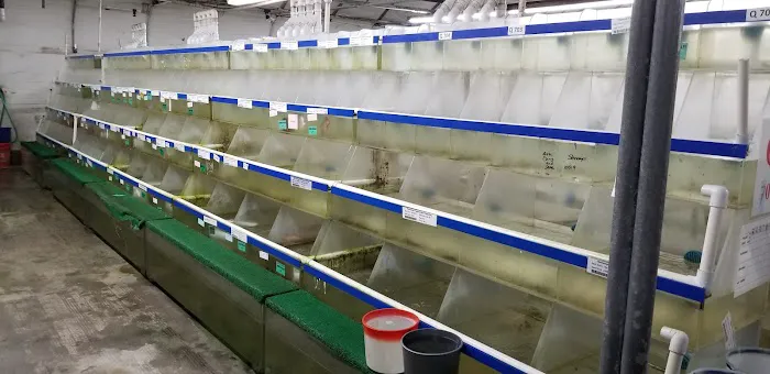 Segrest Farms Picture 7