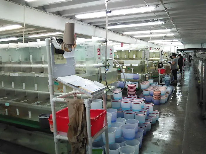 Segrest Farms Picture 6