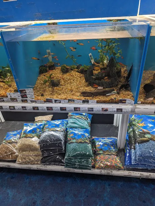 Pet Supermarket Picture 5