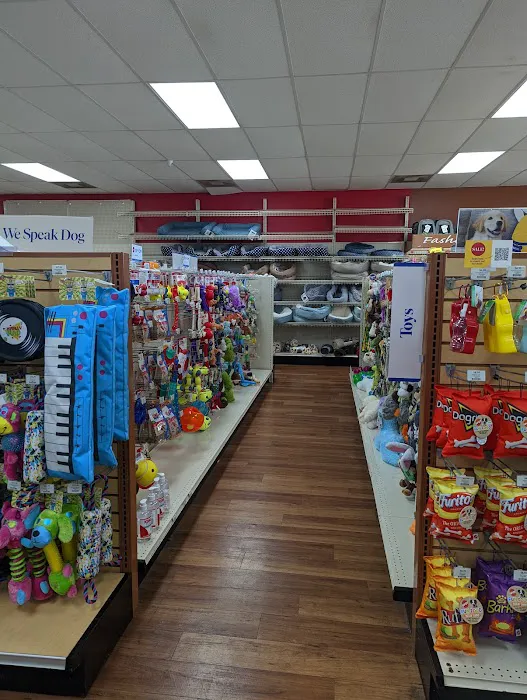 Pet Supermarket Picture 9