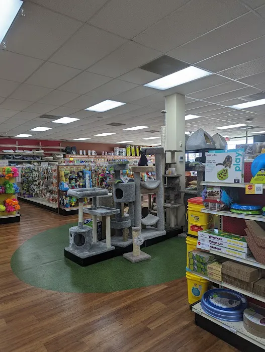 Pet Supermarket Picture 7