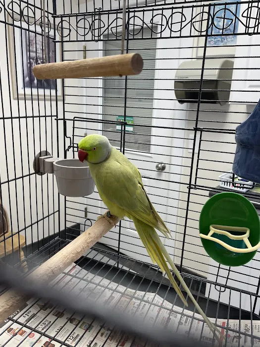 All Creatures Veterinary Hospital Picture 1