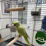 All Creatures Veterinary Hospital