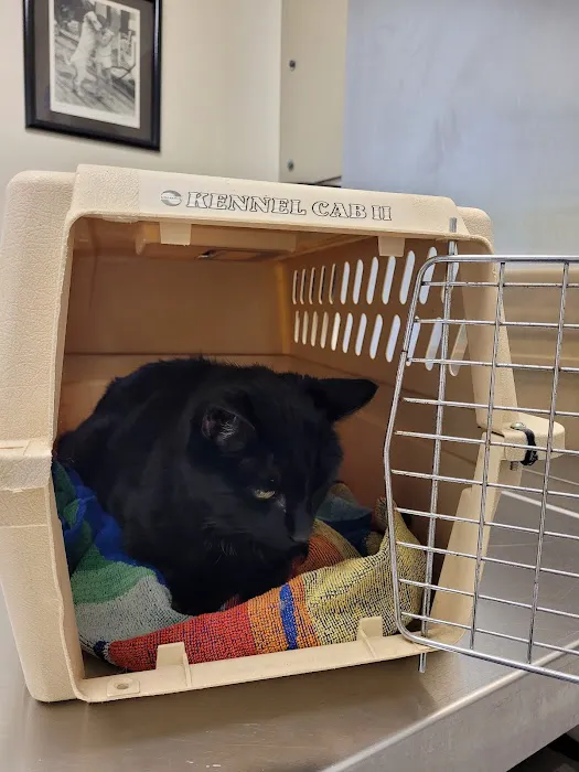 All Creatures Veterinary Hospital Picture 8