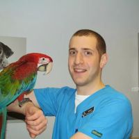 New Paltz Animal Hospital ico