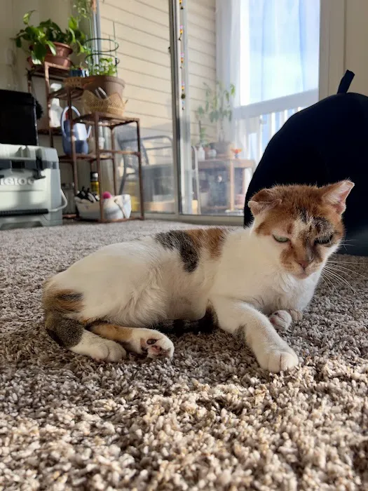 New Paltz Animal Hospital Picture 6