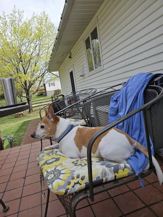 New Paltz Animal Hospital Picture 3