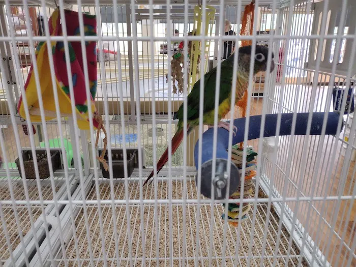 Pet Supermarket Picture 3