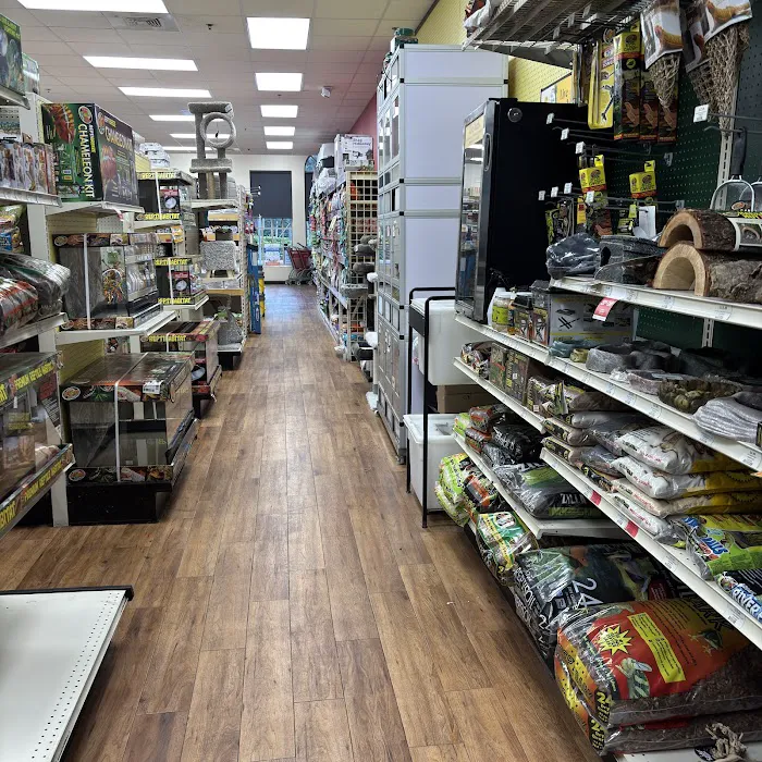 Pet Supermarket Picture 7