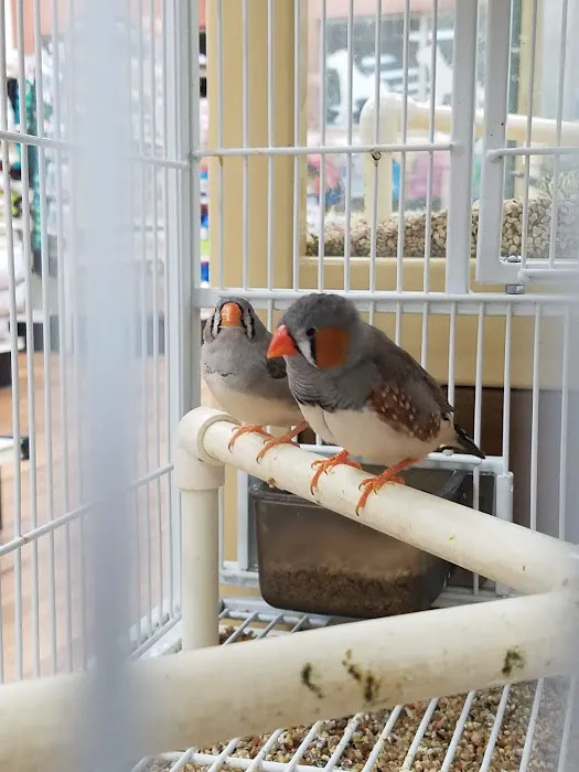Pet Supermarket Picture 4
