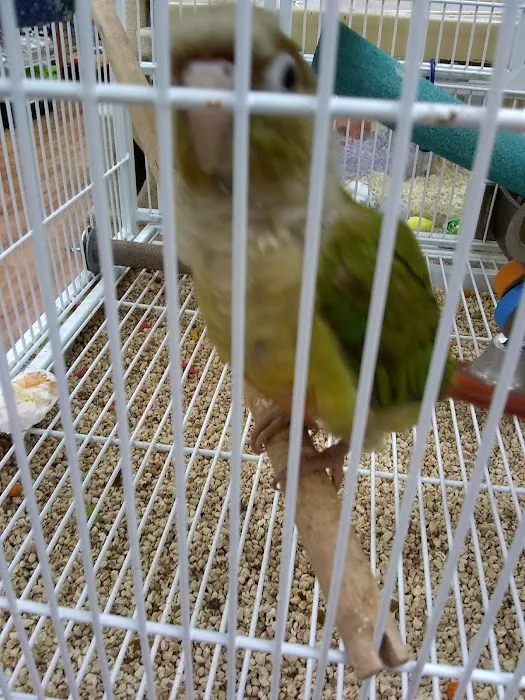 Pet Supermarket Picture 10