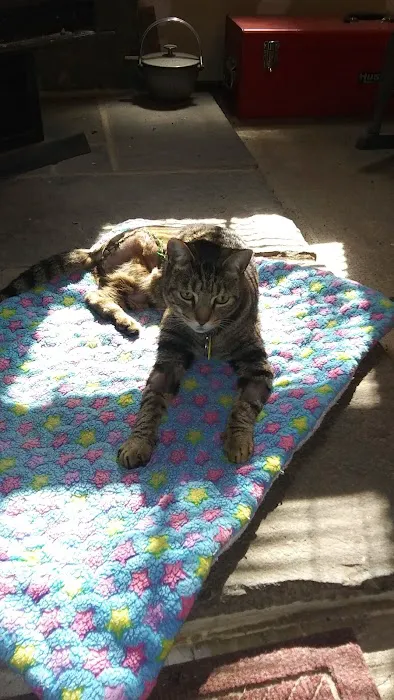 Rondout Valley Veterinary Associates Picture 2