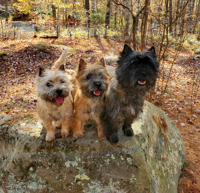 Rondout Valley Veterinary Associates Picture 6