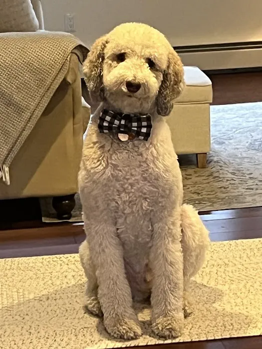 Rondout Valley Veterinary Associates Picture 4