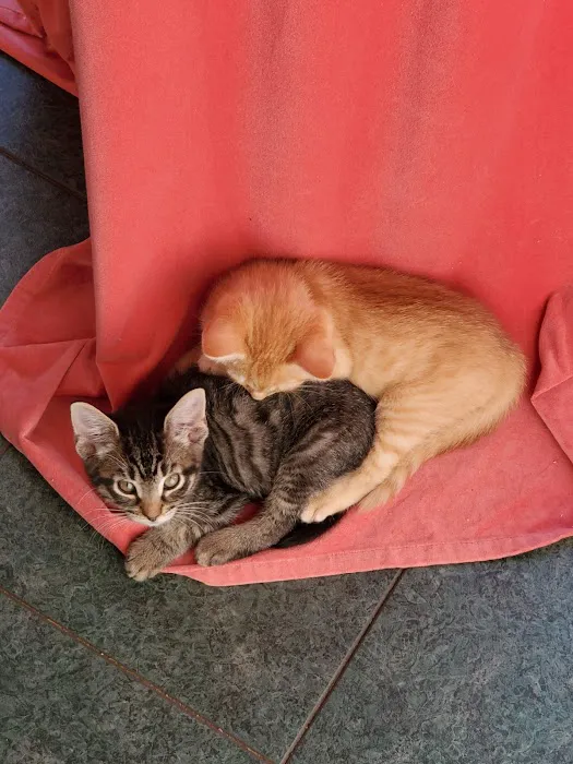 Rondout Valley Veterinary Associates Picture 7