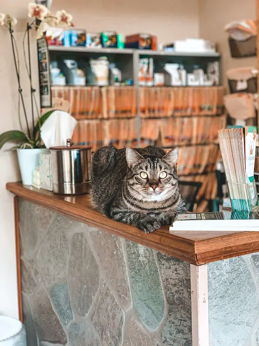 Compassion Veterinary Center - General Practice and Urgent Care Picture 9