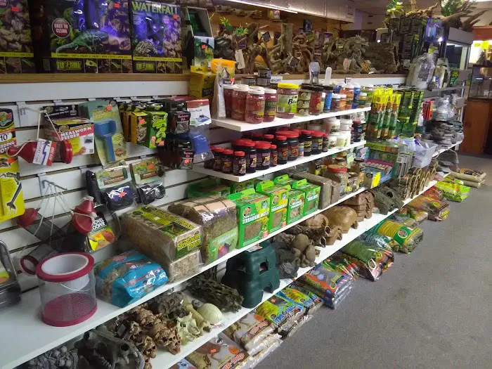 Scales and Tails Daytona Picture 8