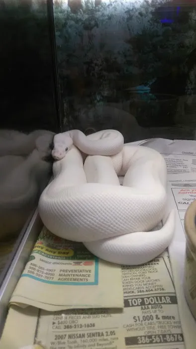 Scales and Tails Daytona Picture 5