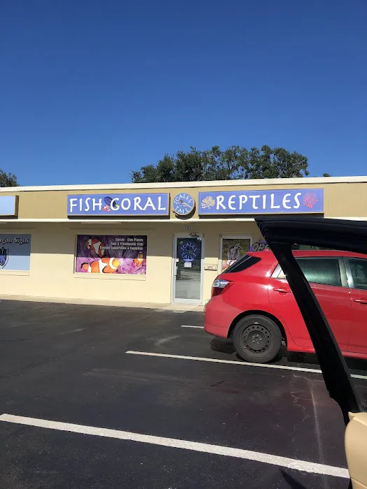 Scales and Tails Daytona Picture 10