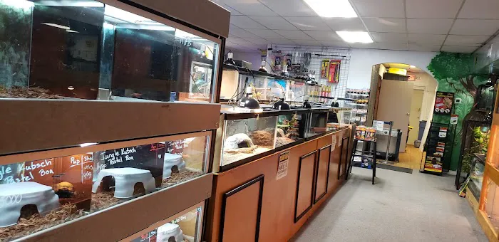 Scales and Tails Daytona Picture 4