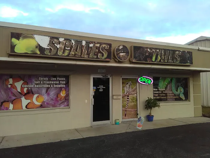 Scales and Tails Daytona Picture 9