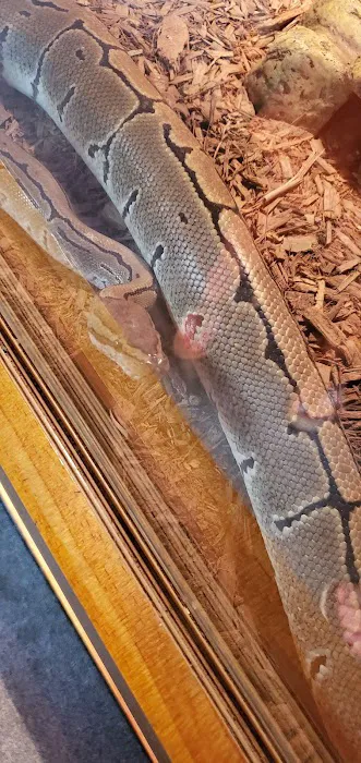 Scales and Tails Daytona Picture 1